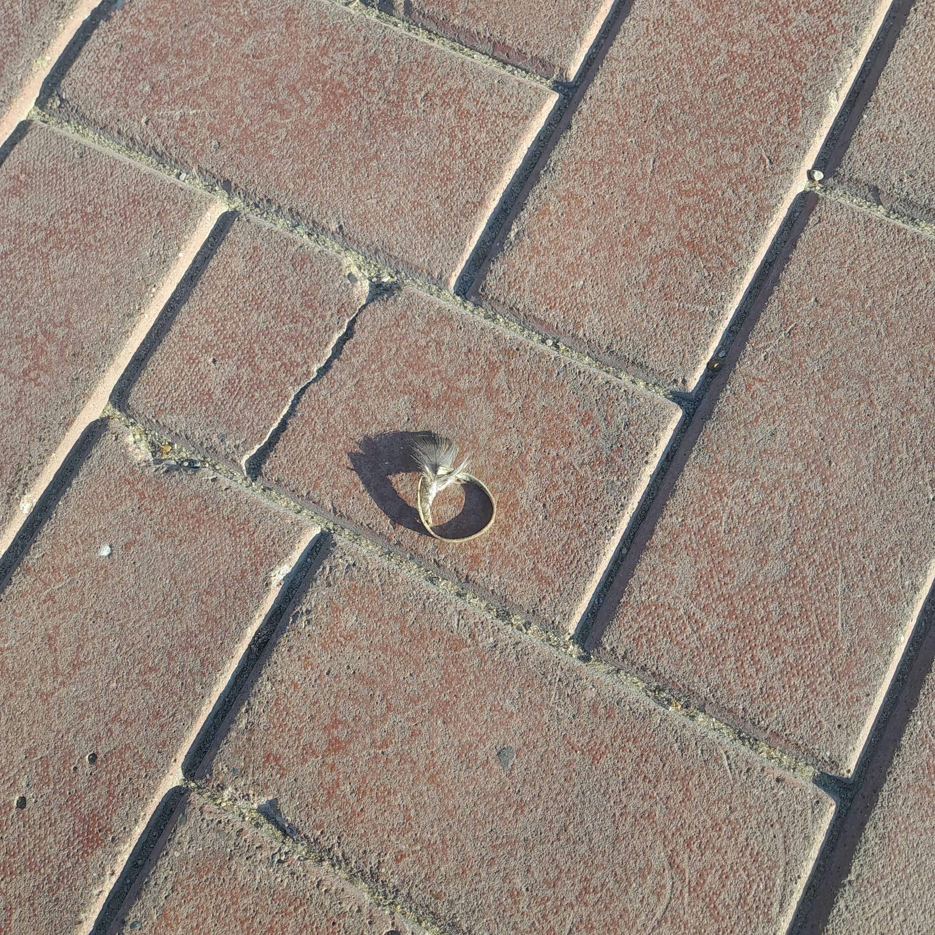 wedding ring